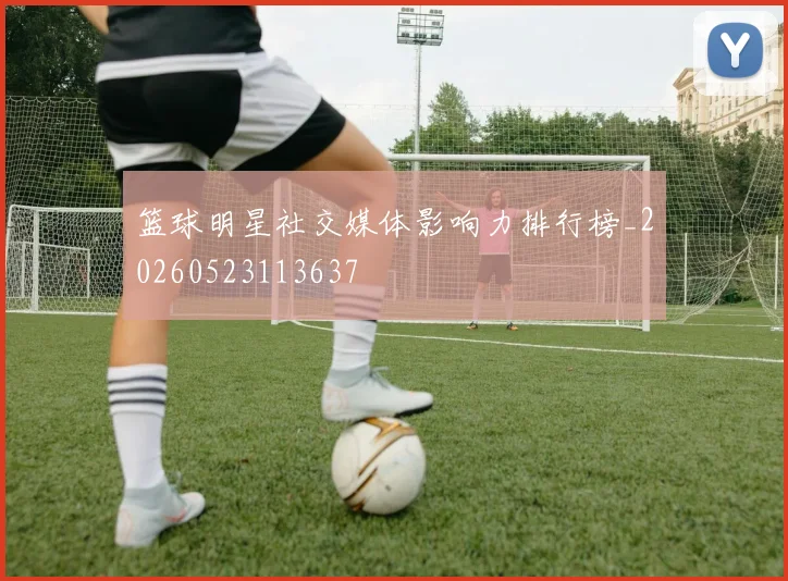 篮球明星社交媒体影响力排行榜_20260523113637